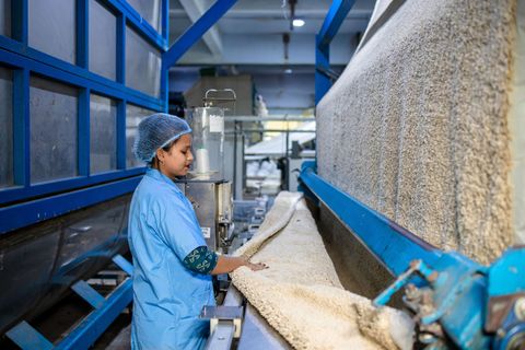 Industrial Seed Cleaning Machines: Explore Overview, Basics, Explanation, Knowledge, and Key Details